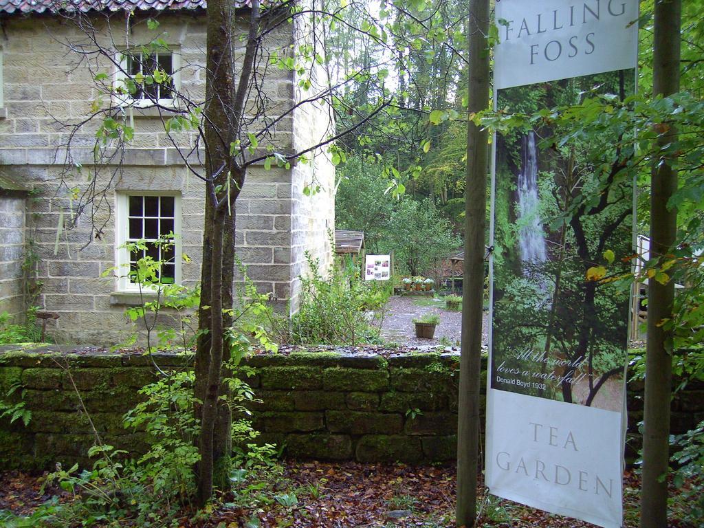 Thorpe Green House Vegetarian Bed & Breakfast Robin Hood's Bay Dış mekan fotoğraf