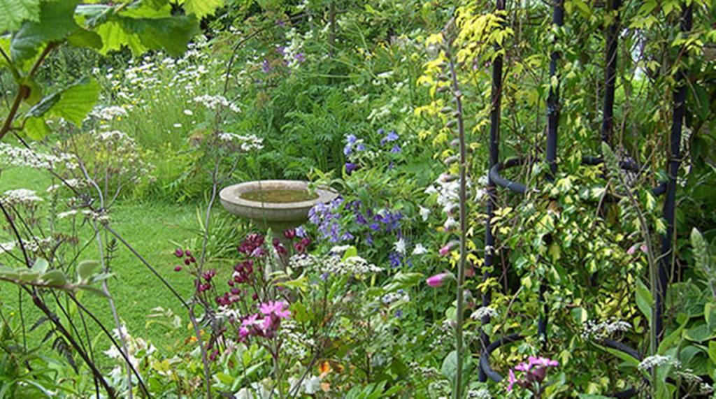 Thorpe Green House Vegetarian Bed & Breakfast Robin Hood's Bay Dış mekan fotoğraf