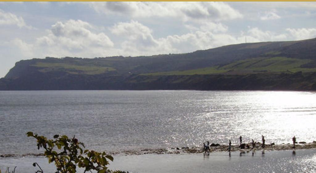 Thorpe Green House Vegetarian Bed & Breakfast Robin Hood's Bay Dış mekan fotoğraf