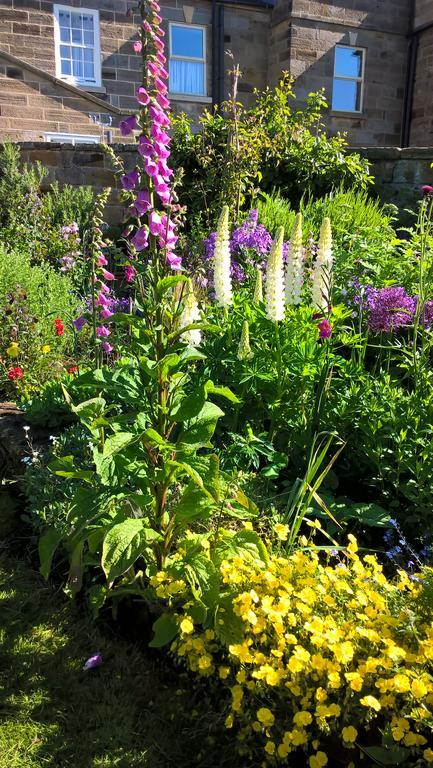 Thorpe Green House Vegetarian Bed & Breakfast Robin Hood's Bay Dış mekan fotoğraf