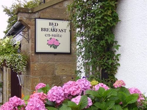 Thorpe Green House Vegetarian Bed & Breakfast Robin Hood's Bay Dış mekan fotoğraf