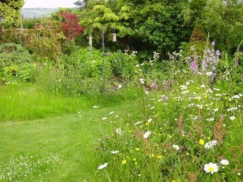 Thorpe Green House Vegetarian Bed & Breakfast Robin Hood's Bay Dış mekan fotoğraf